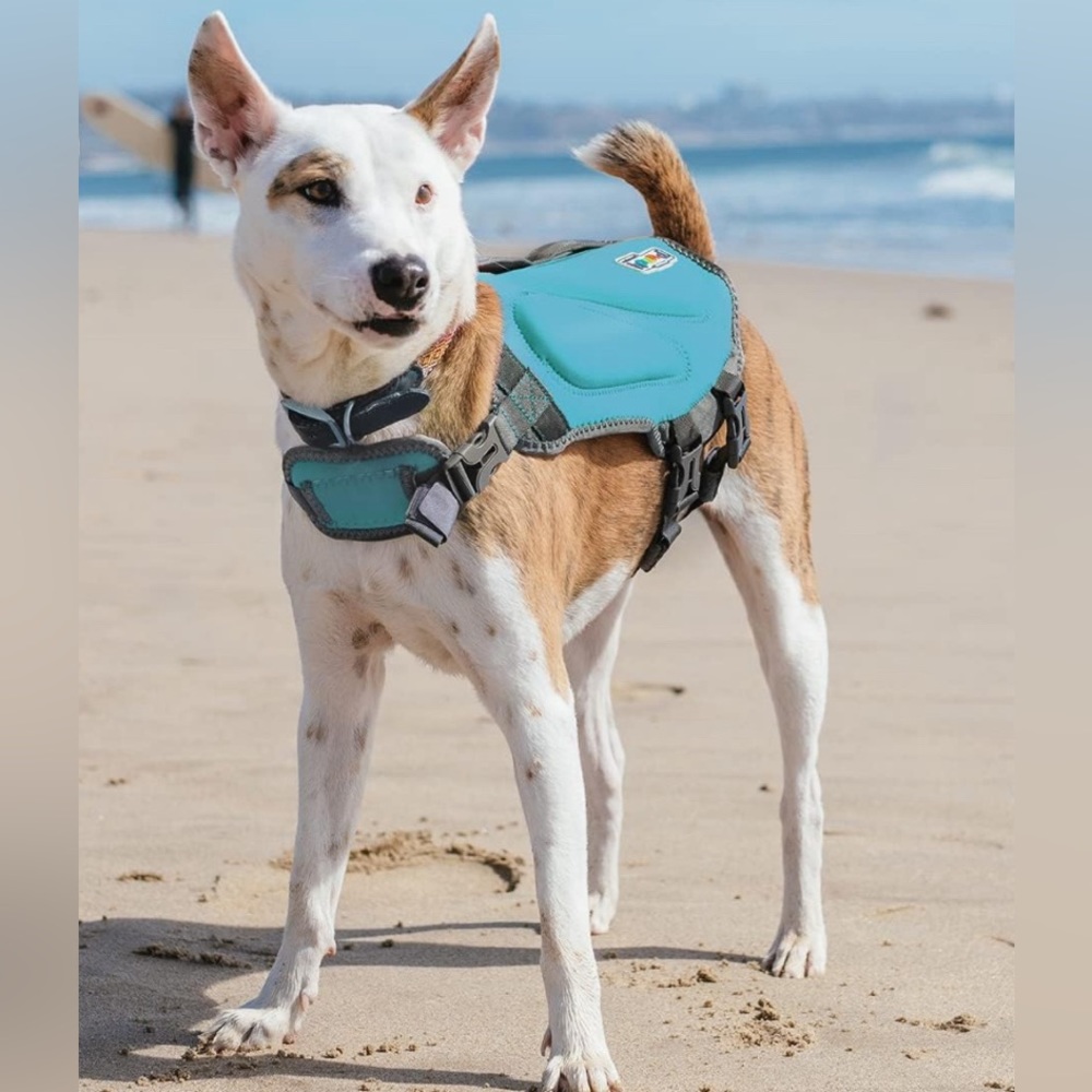 NWT Outward Hound Dawson Swim Blue Dog Life Jacket, Small